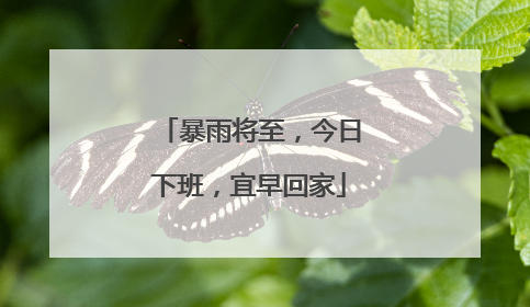 暴雨将至，今日下班，宜早回家