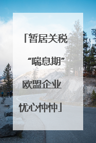 暂居关税“喘息期” 欧盟企业忧心忡忡