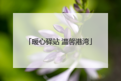 暖心驿站 温馨港湾