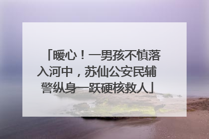 暖心！一男孩不慎落入河中，苏仙公安民辅警纵身一跃硬核救人