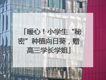 暖心！小学生“秘密”种植向日葵，赠高三学长学姐