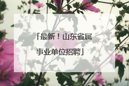最新！山东省属事业单位招聘