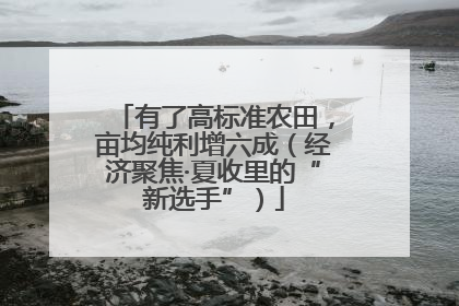 有了高标准农田，亩均纯利增六成（经济聚焦·夏收里的“新选手”）