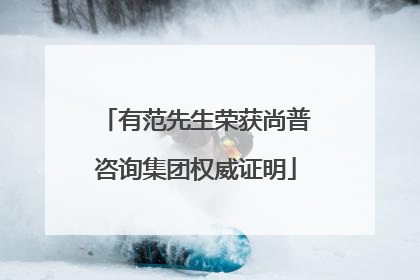 有范先生荣获尚普咨询集团权威证明
