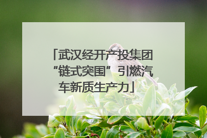 武汉经开产投集团“链式突围”引燃汽车新质生产力