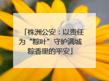 株洲公安：以责任为“粽叶”守护满城粽香里的平安