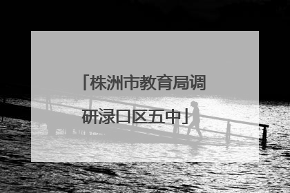 株洲市教育局调研渌口区五中