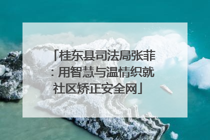 桂东县司法局张菲：用智慧与温情织就社区矫正安全网