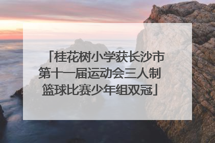 桂花树小学获长沙市第十一届运动会三人制篮球比赛少年组双冠