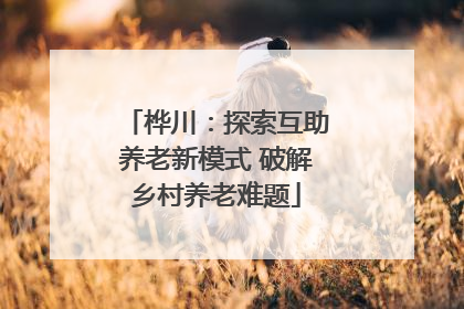 桦川：探索互助养老新模式 破解乡村养老难题