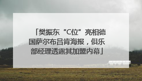 樊振东“C位”亮相德国萨尔布吕肯海报，俱乐部经理透露其加盟内幕