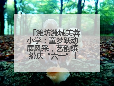 潍坊潍城芙蓉小学：童梦跃动展风采，艺韵缤纷庆“六一”
