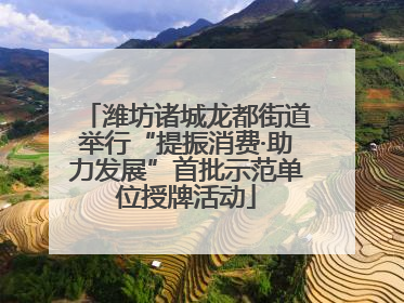 潍坊诸城龙都街道举行“提振消费·助力发展”首批示范单位授牌活动