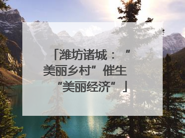 潍坊诸城：“美丽乡村”催生“美丽经济”