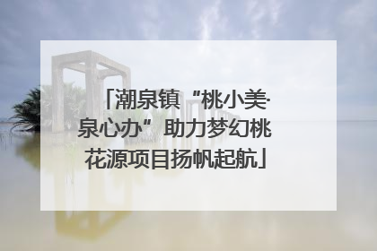 潮泉镇“桃小美·泉心办”助力梦幻桃花源项目扬帆起航
