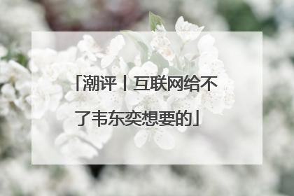 潮评丨互联网给不了韦东奕想要的