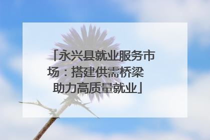 永兴县就业服务市场：搭建供需桥梁 助力高质量就业