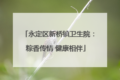 永定区新桥镇卫生院：粽香传情 健康相伴