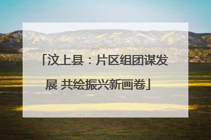 汶上县：片区组团谋发展 共绘振兴新画卷
