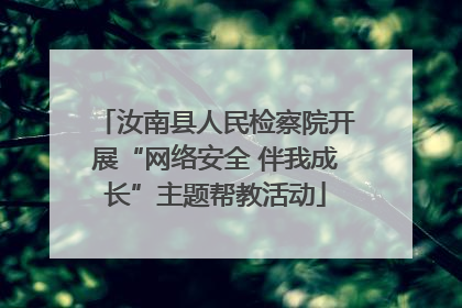 汝南县人民检察院开展“网络安全 伴我成长”主题帮教活动