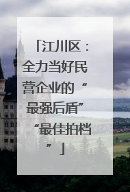 江川区：全力当好民营企业的“最强后盾”“最佳拍档”