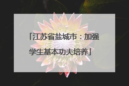 江苏省盐城市：加强学生基本功夫培养