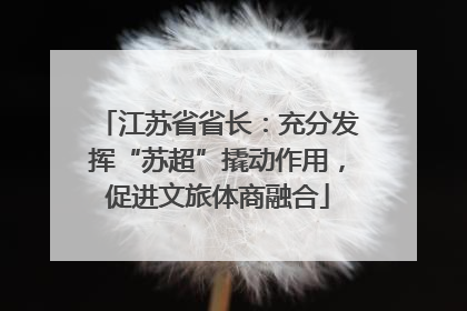 江苏省省长：充分发挥“苏超”撬动作用，促进文旅体商融合