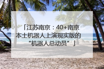 江苏南京：40+南京本土机器人上演现实版的“机器人总动员”