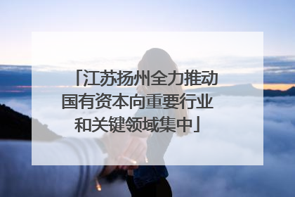江苏扬州全力推动国有资本向重要行业和关键领域集中