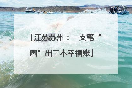 江苏苏州：一支笔“画”出三本幸福账