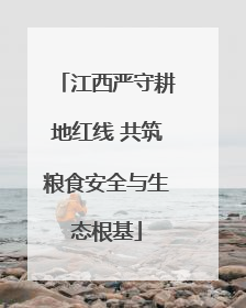 江西严守耕地红线 共筑粮食安全与生态根基