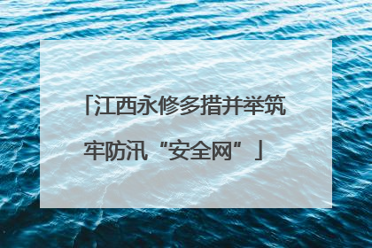 江西永修多措并举筑牢防汛“安全网”