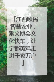 江西颐民智慧农业：乘文博会文化快车，让宁都黄鸡走进千家万户