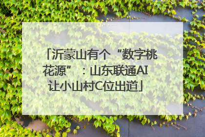 沂蒙山有个“数字桃花源”：山东联通AI让小山村C位出道