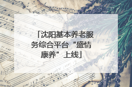 沈阳基本养老服务综合平台“盛情康养”上线