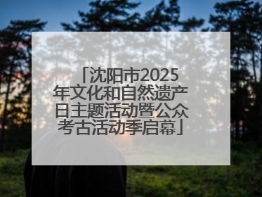 沈阳市2025年文化和自然遗产日主题活动暨公众考古活动季启幕