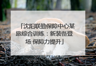 沈阳联勤保障中心某旅综合训练：新装备登场 保障力提升