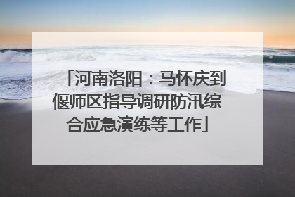 河南洛阳：马怀庆到偃师区指导调研防汛综合应急演练等工作