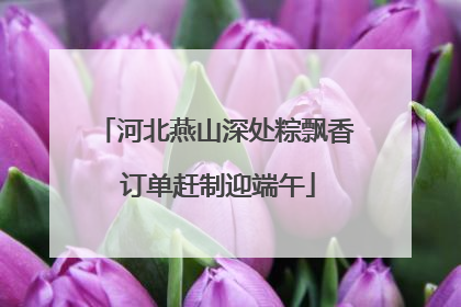 河北燕山深处粽飘香 订单赶制迎端午