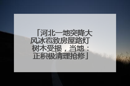 河北一地突降大风冰雹致房屋路灯树木受损，当地：正积极清理抢修