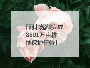 河北超额完成8801万亩耕地保护任务