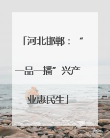 河北邯郸：“一品一播”兴产业惠民生