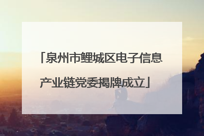 泉州市鲤城区电子信息产业链党委揭牌成立