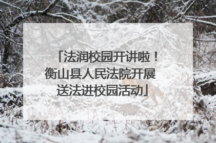 法润校园开讲啦！衡山县人民法院开展 送法进校园活动