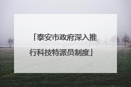 泰安市政府深入推行科技特派员制度