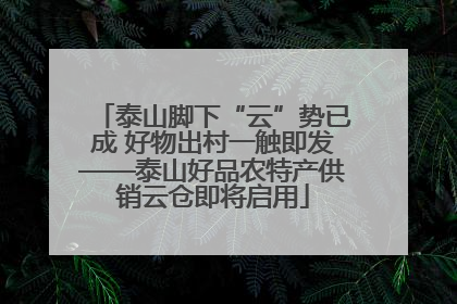 泰山脚下“云”势已成 好物出村一触即发——泰山好品农特产供销云仓即将启用
