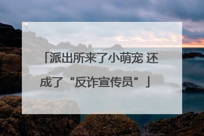 派出所来了小萌宠 还成了“反诈宣传员”