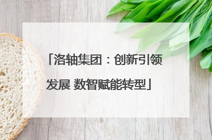 洛轴集团：创新引领发展 数智赋能转型