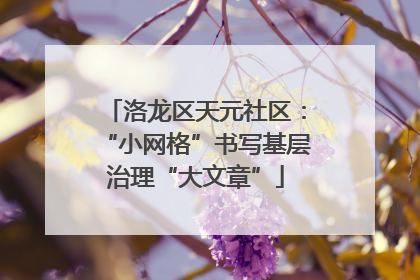 洛龙区天元社区：“小网格”书写基层治理“大文章”