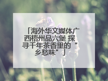 海外华文媒体广西梧州品六堡 探寻千年茶香里的“乡愁味”